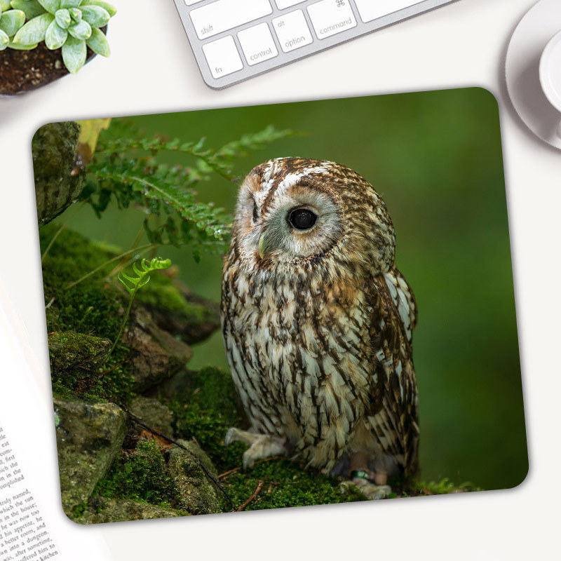 Cute Animal Owl Gaming Mouse P - Gaming Accessories On Sale 评论和价格