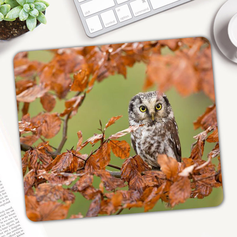 Cute Animal Owl Gaming Mouse P - Gaming Accessories On Sale 评论和价格