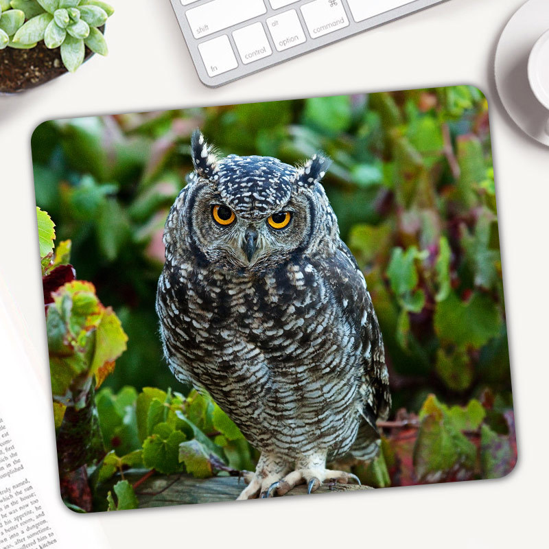 Cute Animal Owl Gaming Mouse P - Gaming Accessories On Sale 评论和价格